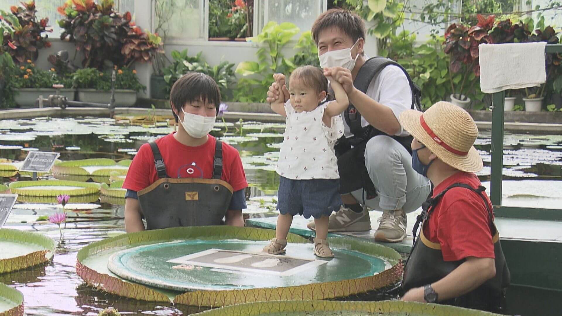 オオオニバスに乗ってみた 広島市植物公園 ニュース 報道 Home広島ホームテレビ