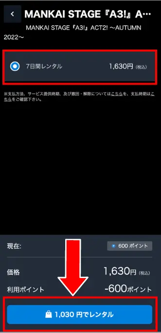 最終確認画面で金額と視聴期間を確認し、「〇円でレンタル」ボタンをタップして購入完了