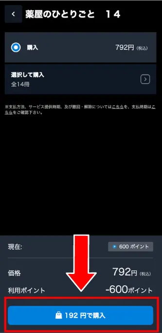 購入内容を確認し、「〇円で購入」ボタンを押す