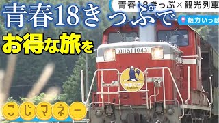 【こじマネー】「自己負担2千円！？」節約かつお得に！夏の旅行計画のヒントを大公開！