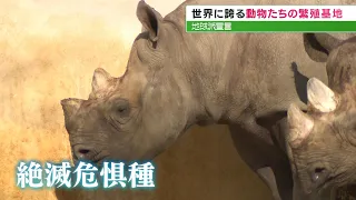 【地球派宣言】「クロサイやレッサーパンダも…」あまり知られていない絶滅危惧種