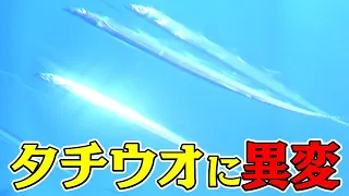 【地球派宣言】「いったい何が…？」宮島水族館から消えたタチウオ｜漁獲量も10年前と比べると10分の1に